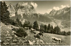 Biberwier, Leermooser Alm mit Zugspitzmassiv