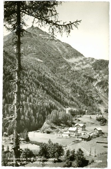 Hinterbichl, gegen Tönigspitze