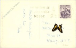 Innsbruck, gegen Norden