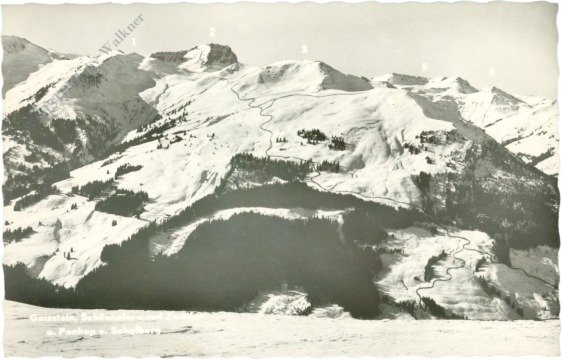 Kitzbühel, Gaisslalm