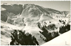 Kitzbühel, Steinbergkogel