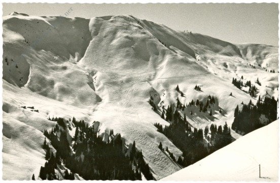 Kitzbühel, Steinbergkogel