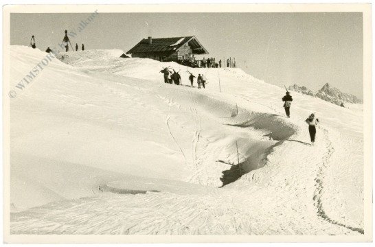Kitzbühel, Steinbergkogel