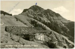 Kitzbühel, Stanglalm mit Kitzbühler Horn