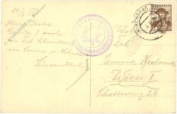 Kitzbühel, Panorama vom Gampenkogel