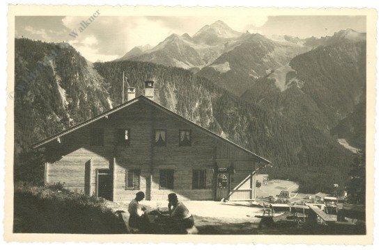 Mayrhofen, Zimmereben