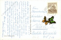 ak215810a Waidring, mit Fellhorn