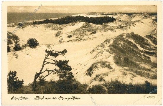 Leba/Ostsee, Blick von der Mampe-Düne