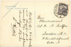 ak216844a Lillafured, Toreszlet a Weidlich nyaraloval