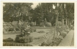 Lazne Podebrady, Laz. park Amorek