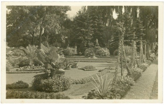 ak217020 Lazne Podebrady, Laz. park Amorek