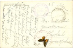 ak217080a Bojiste u Hradce Kralove