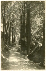 ak217081 Telc Oslednice