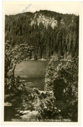 ak217086 Plöckenstein See mit Stifterdenkmal