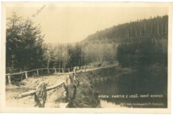 ak217112 Pisek, Partie z Lesu, Novy Rybnik