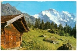 Wengen, Jungfrau