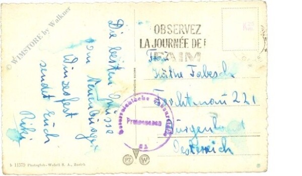 Neuchatel, Le Chateau et les Alpe