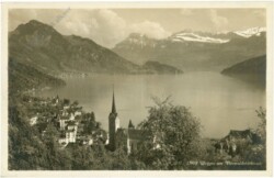 ak217205 Weggis am Vierwaldstättersee