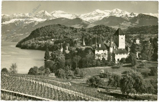 Spiez, Schloss
