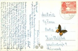 Axenstrasse am Vierwaldstättersee mit Gitschen u. Uriotstock