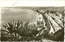 ak217503 Nice, Quai des Etats