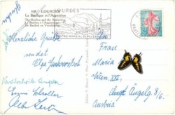 Lourdes, La Basilique et l'Apparition