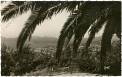 Cannes, Vue general