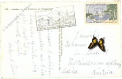 Lourdes, La Basilique