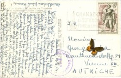 Paris, Les jardins du Trocadero