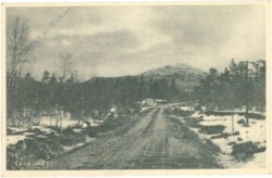 Salmijärvi, Ansicht