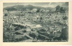 ak217799 Olympia, general view of the ruins