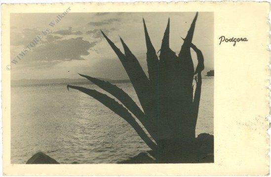 Podgora, Ansicht
