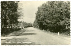 Drouwen, Bosrand Gasselterstreet