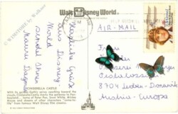 Florida: Disney World, Cinderella Castle