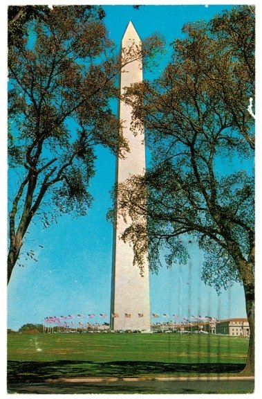 ak218149 Washington D.C.: The Washington Monument