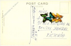 Queensland, Surfers Paradise