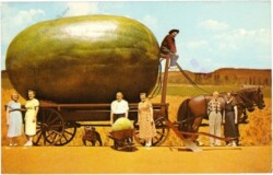 Kalifornien: Actual photograph of a California grown watermelon