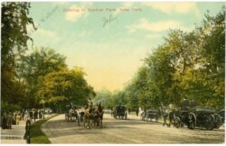 New York: New York City, Driving in Central Park