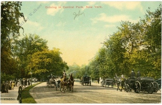 New York: New York City, Driving in Central Park
