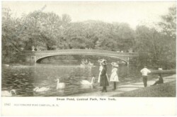 New York: New York City, Central Park, Swan Pond