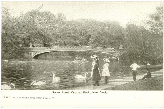 New York: New York City, Central Park, Swan Pond