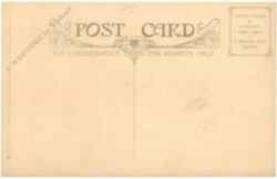 New York: New York City, The Woolworth Building from the Ferry