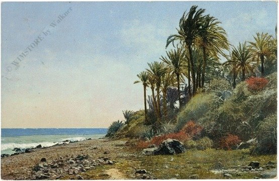 Riviera di Ponente, Bordighera