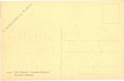 Paestum (Interno), Basilica