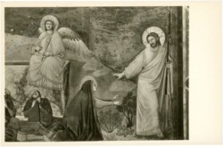 Padova, Cappella degli Scrovegni all'Arenz