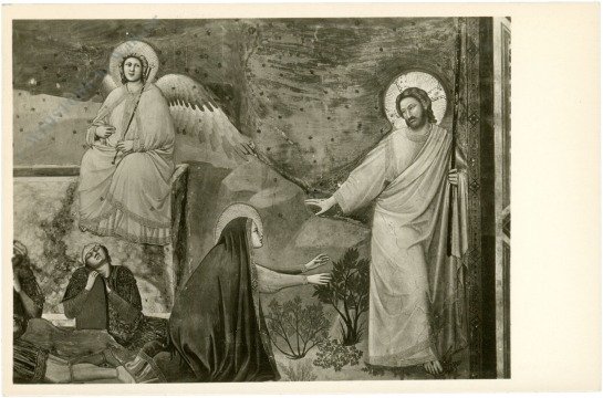 Padova, Cappella degli Scrovegni all'Arenz