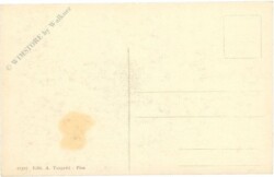 Pisa, Interno del Duomo