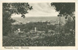 Montecatini Terme, Panorama
