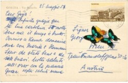 Gorizia, Via Rastello