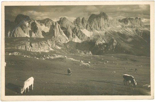 Dolomiti (Dolomiten), Ansicht